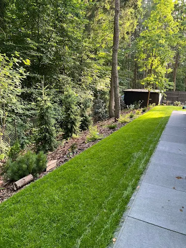 Hortus Projektowanie Ogrodów Chotomów. Pielęgnacja, zakładanie ogrodów, systemy nawadniające